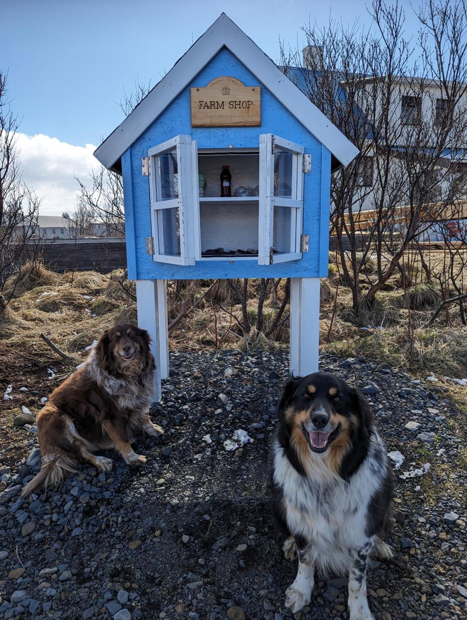 Vik Hostel Экстерьер фото